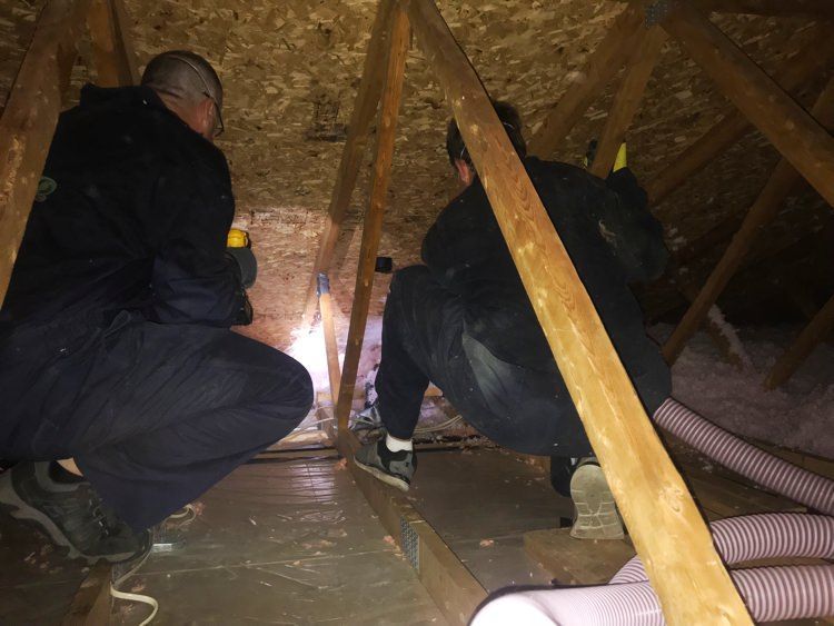 Two men are working in the attic of a house