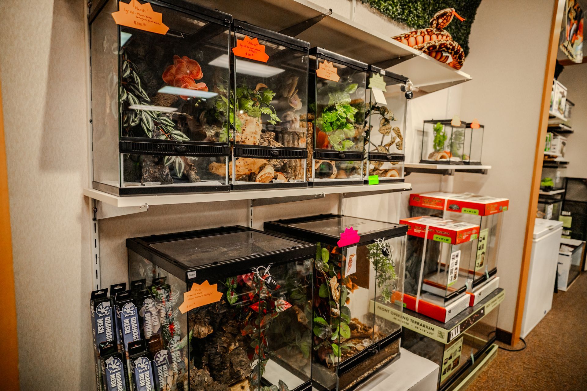 Shelves in a pet store displaying terrariums with plants and animals, some labeled with orange tags.