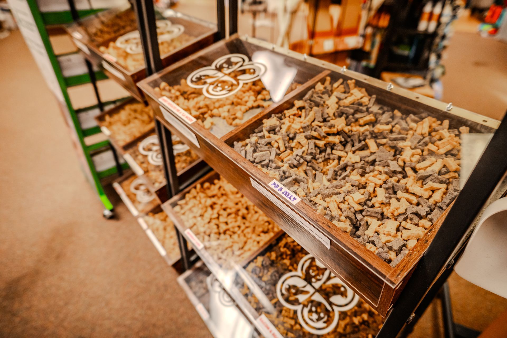 Shelves with various bulk food items in clear bins, labeled and ready for purchase in a store.
