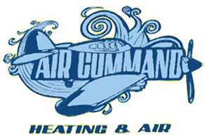 Blue logo with a plane and 