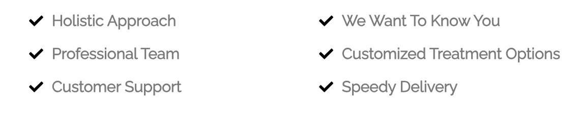 A blurred image of a website that says holistic approach professional team customer support and speedy delivery