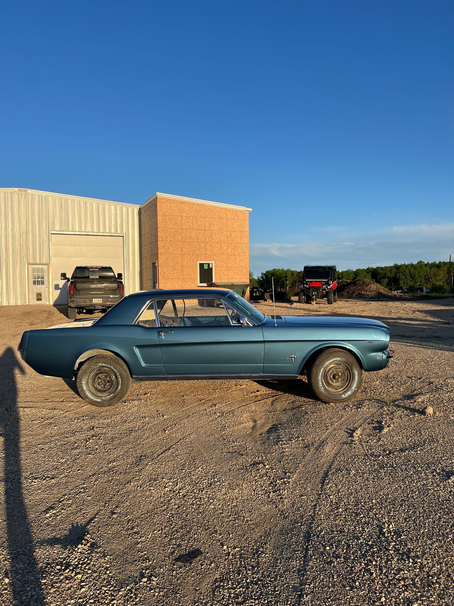 Blue vintage Ford Mustang parked on gravel, next to buildings under a blue sky.
