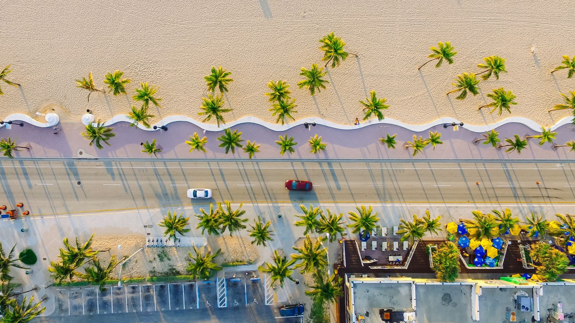 An aerial view of a beach with palm trees and a car driving down the road.
