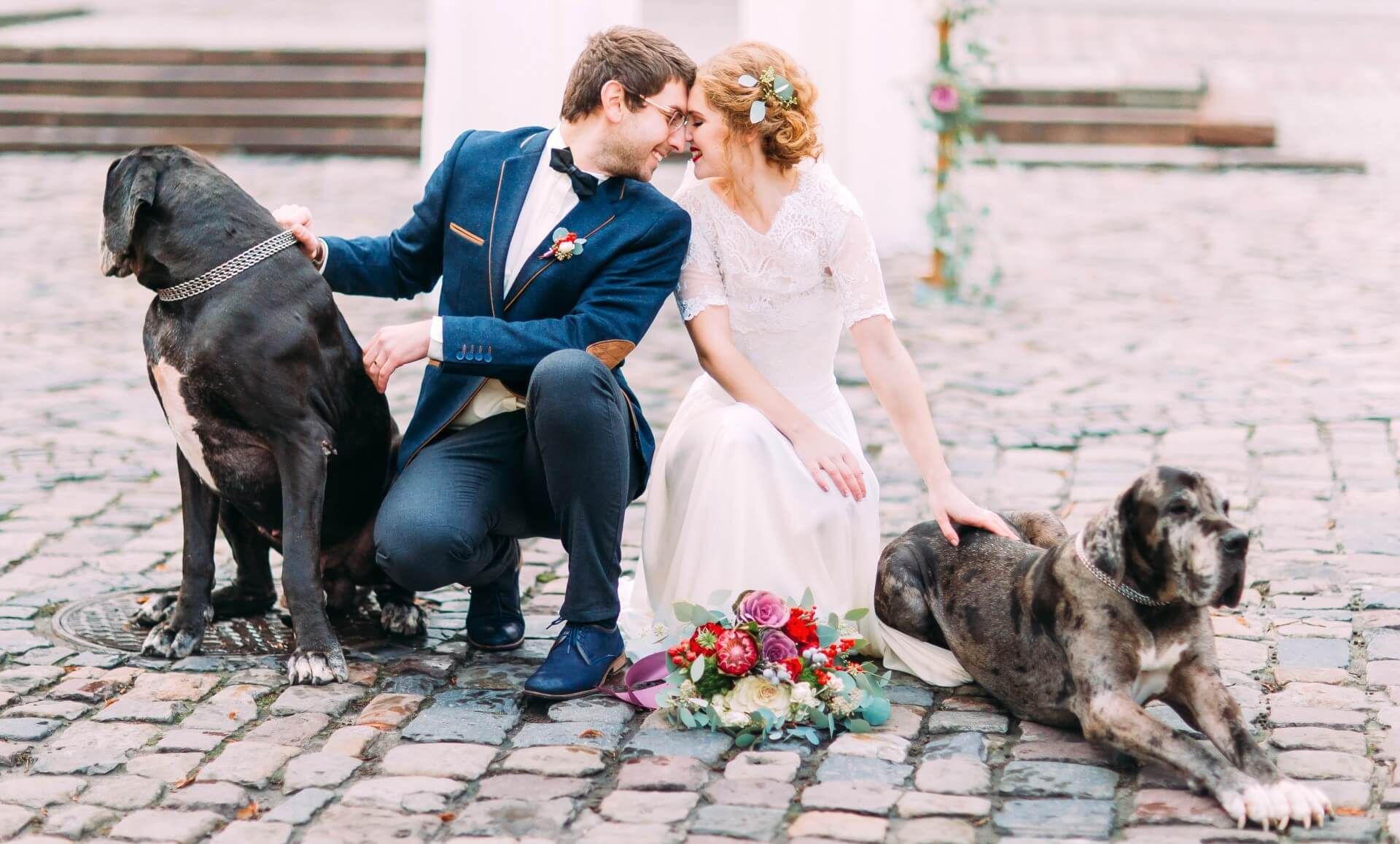 Bride and groom smiling at each other with their beloved pets in their wedding