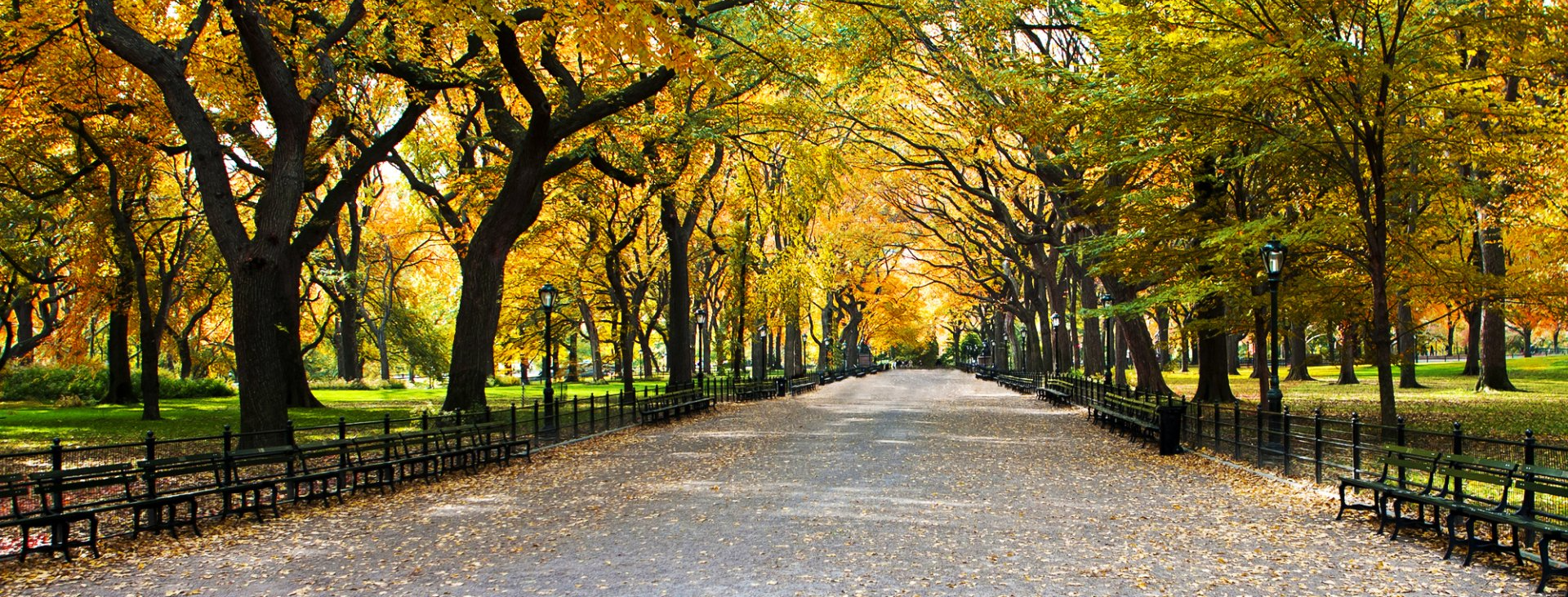 Central Park path in autumn