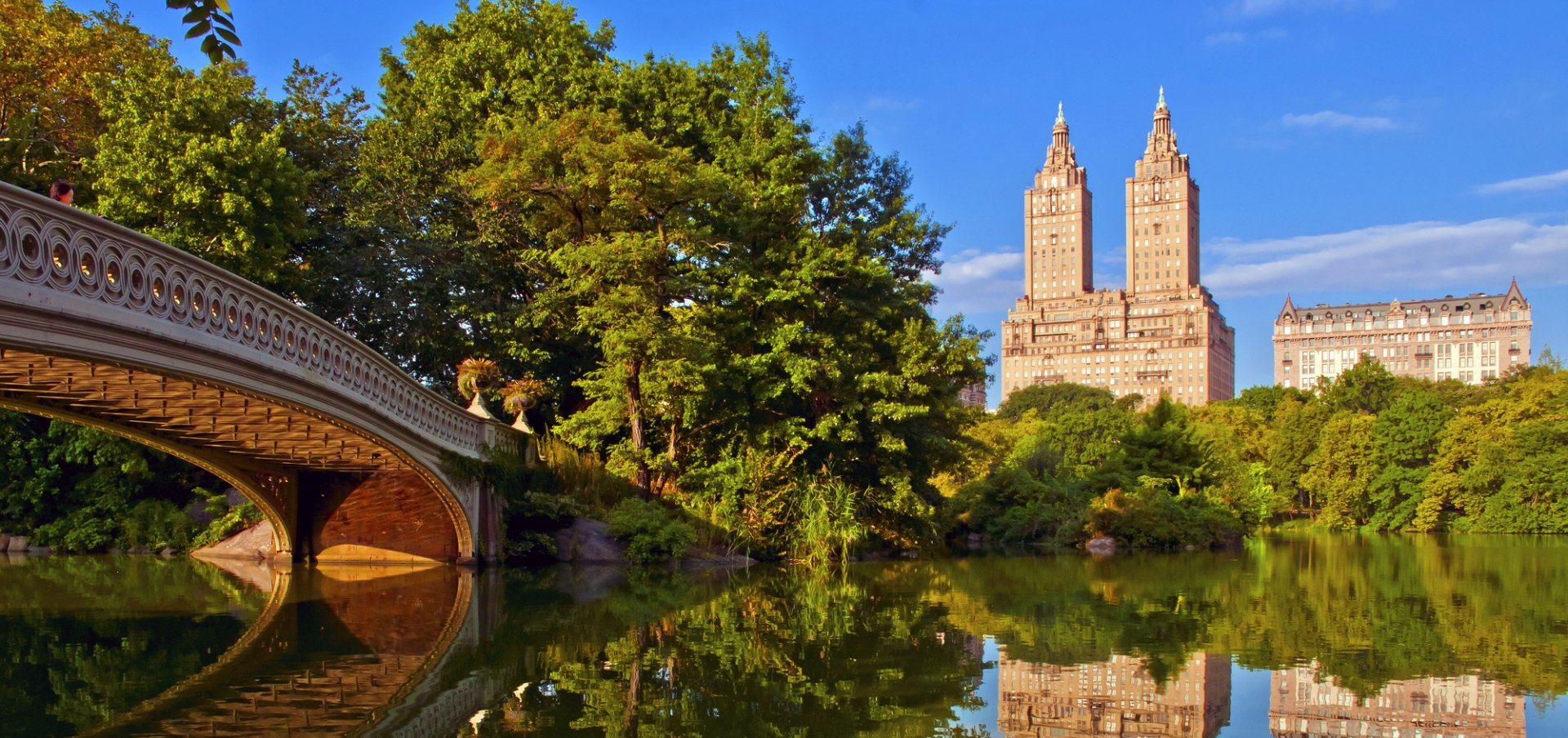 a view of the bridge in Central Park