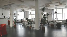 Open-plan office with white columns, desks, and potted plants. Large windows and dark floor.