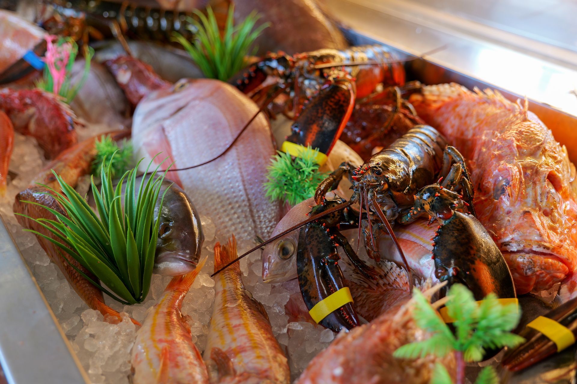 Un piatto con un dessert caratterizzato da salsa rossa, pois e una pallina con una guarnizione a reticolo.