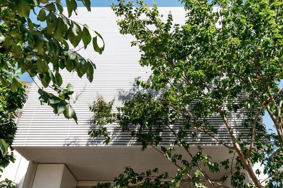 Modern Building Facade Partly Hidden by Green Tree Branches Against a Blue Sky — Fineworx Joinery in Warnervale, NSW