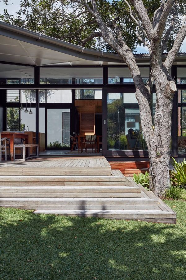 Modern House Entrance with Glass Doors and A Large Tree in Front — Fineworx Joinery in Newcastle, NSW