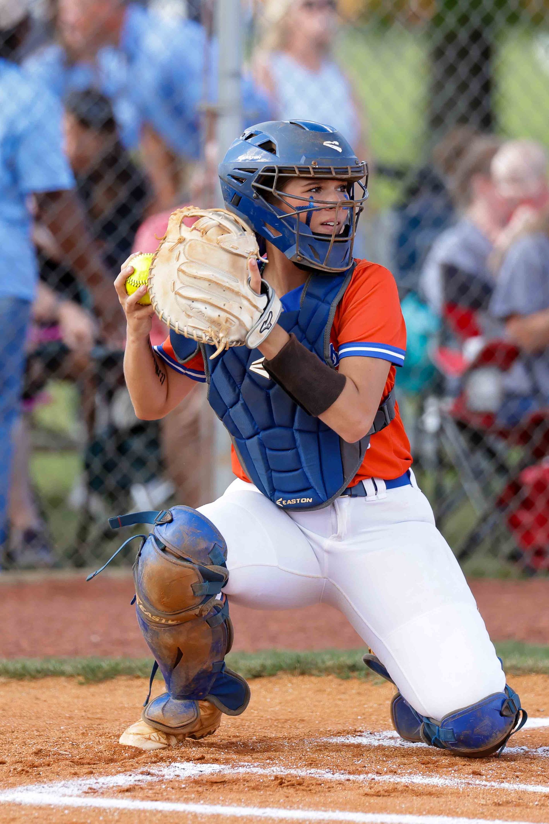 Softball Rounds Out Recruiting Class With Six Additions - Barry