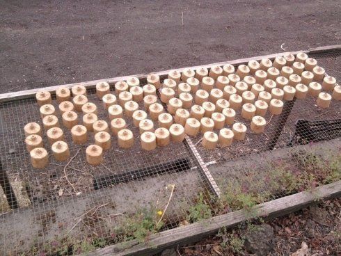 allestimento in sicurezza di fuochi d'artificio 8