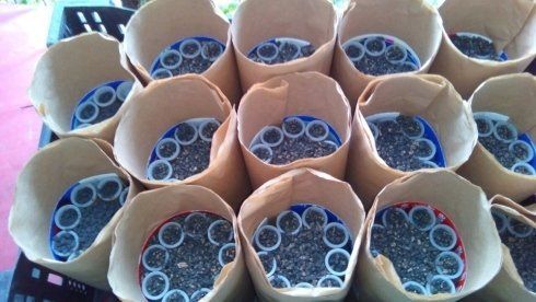 allestimento in sicurezza di fuochi d'artificio 3