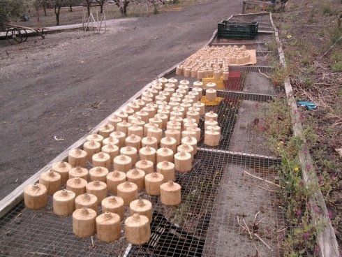 allestimento in sicurezza di fuochi d'artificio