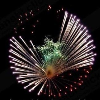 spettacolo di fuochi d'artificio 4