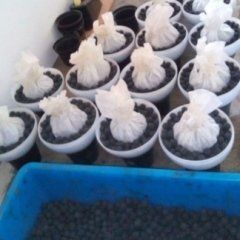 preparazione di candelotti per spettacolo pirotecnico 9