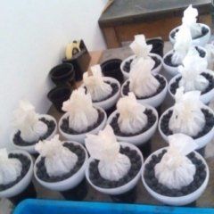 preparazione di candelotti per spettacolo pirotecnico 3