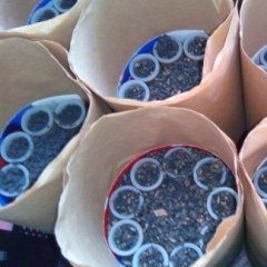 preparazione di candelotti per spettacolo pirotecnico 2