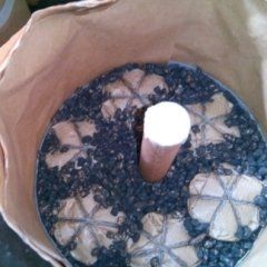 preparazione di candelotti per spettacolo pirotecnico