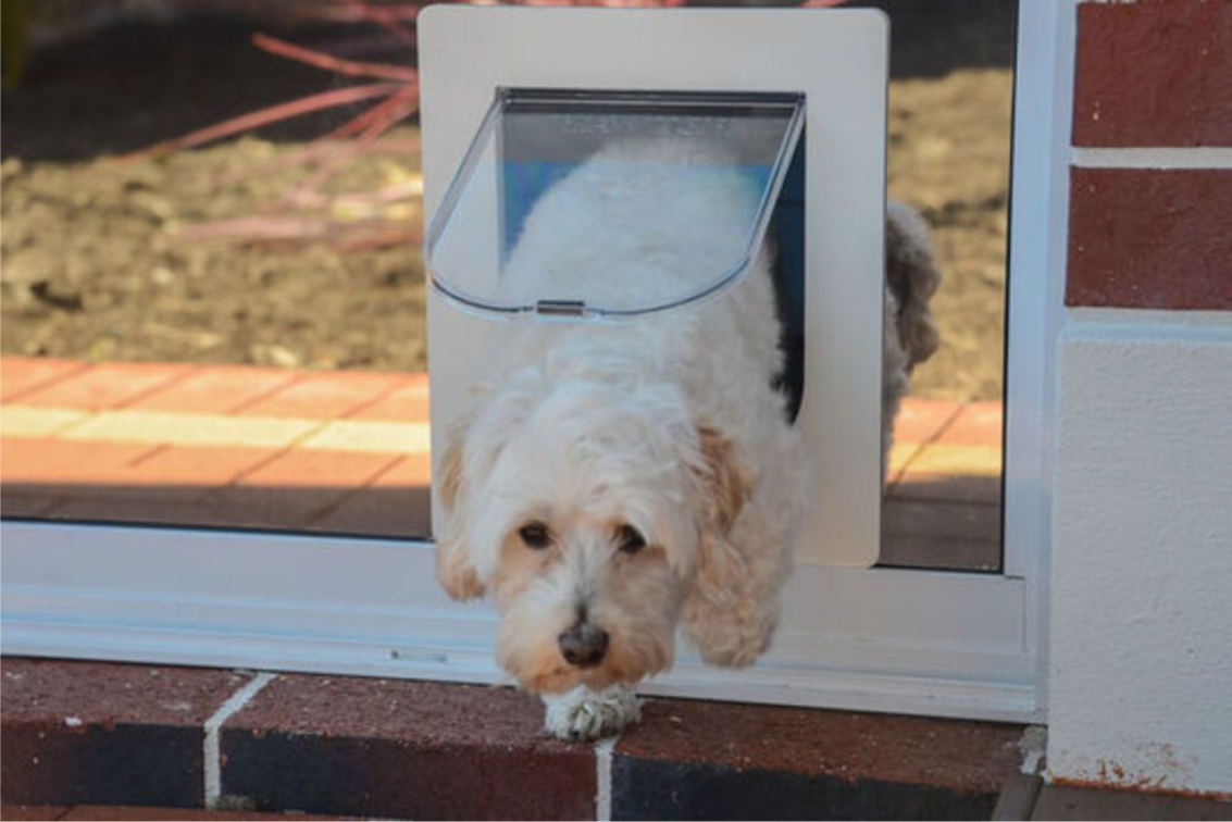 Gray Tabby Cat Exiting a White Pet Door in a Glass Door — Screen Factory In Billinudgel, NSW