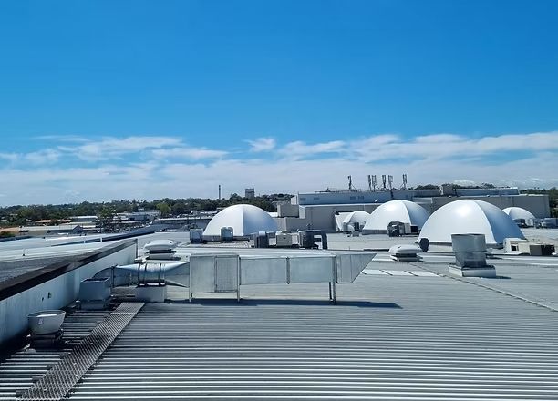 Close-up view of the radiating, parallel green fronds of a palm leaf, catching sunlight to show texture and depth.