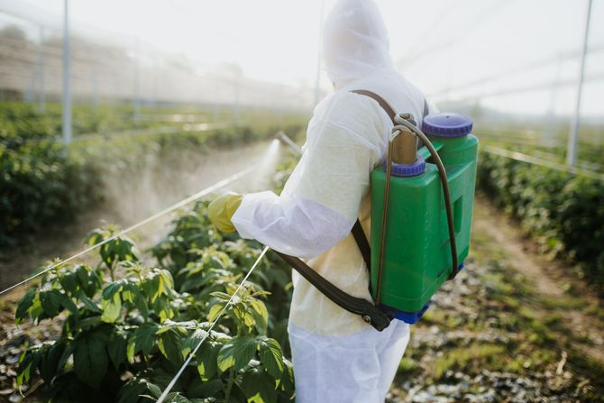 sanificazione e disinfestazione