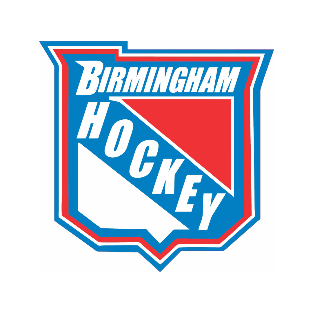 Motor City Hockey LLC