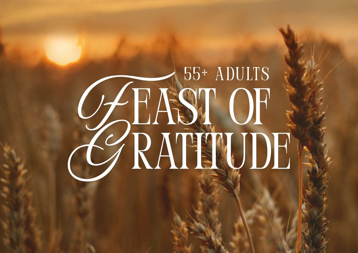 55+ FEAST OF GRATITUDE
