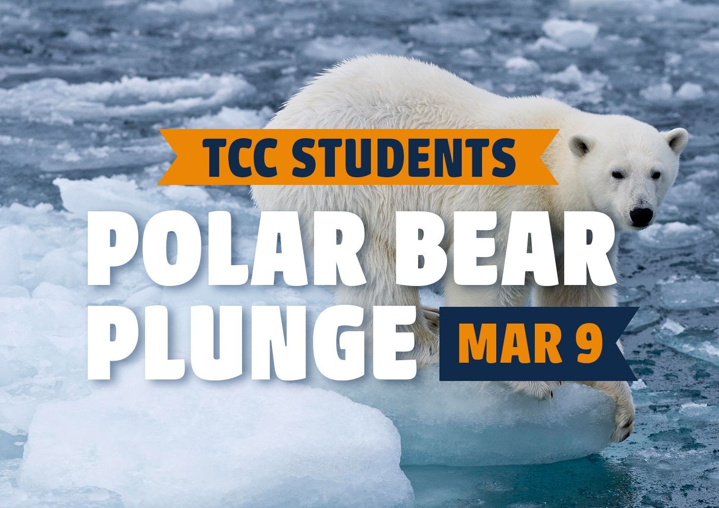 POLAR BEAR PLUNGE