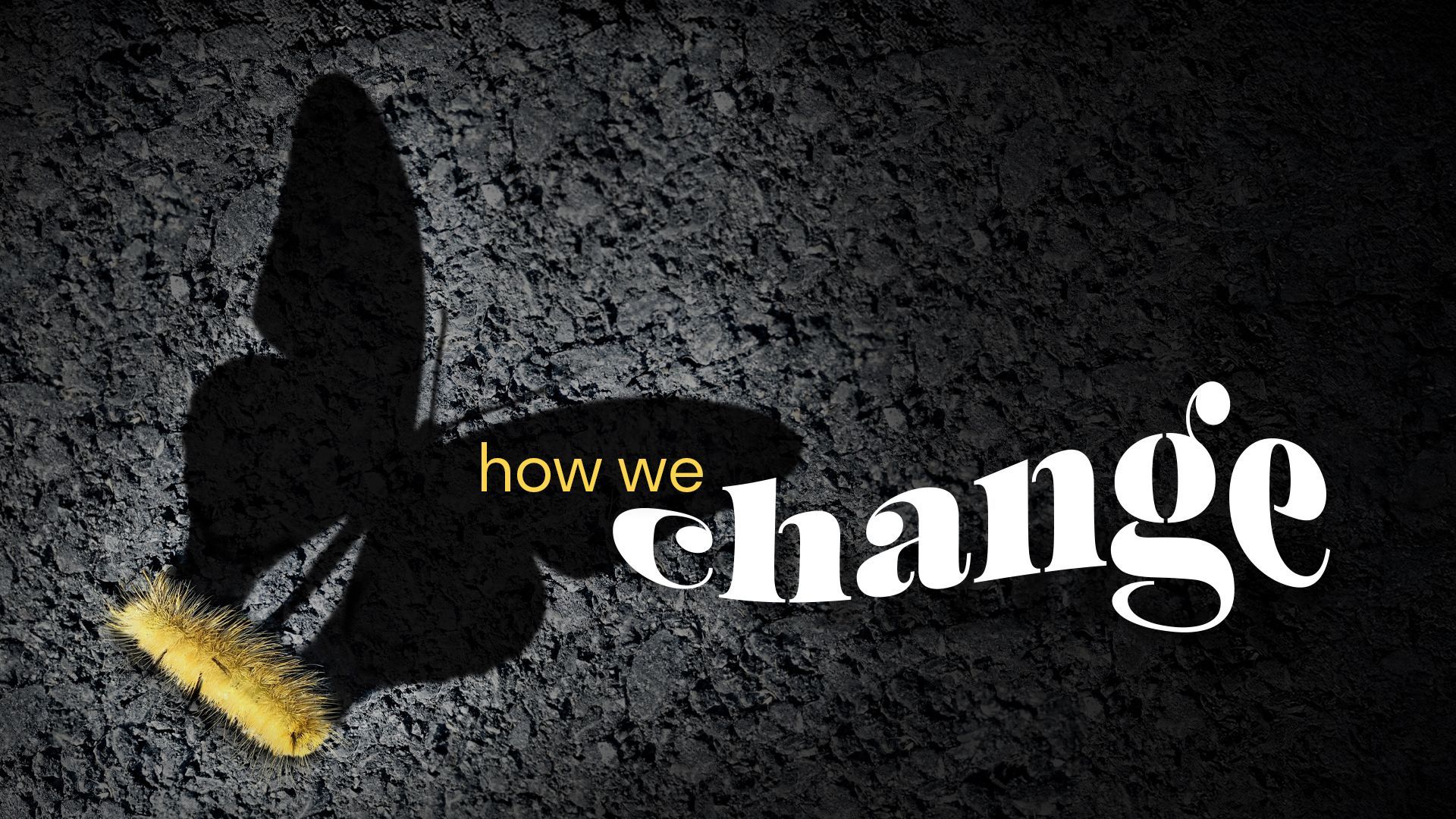 The words In Christ (Ephesians) are written in yellow on a black background. This is our current series