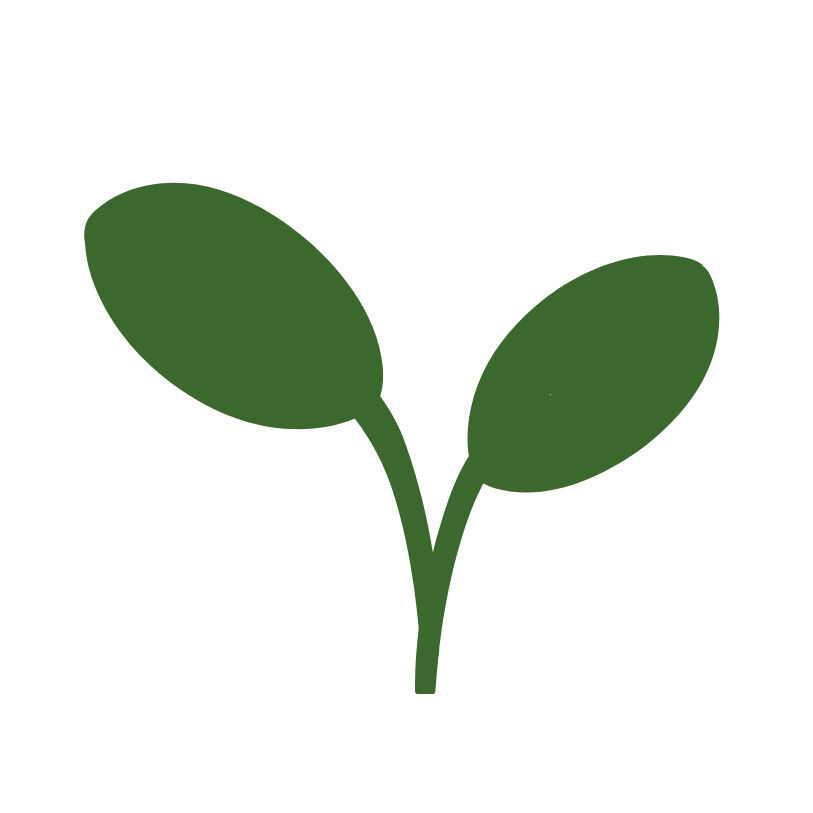 Two green leaves growing from a dark green stem.