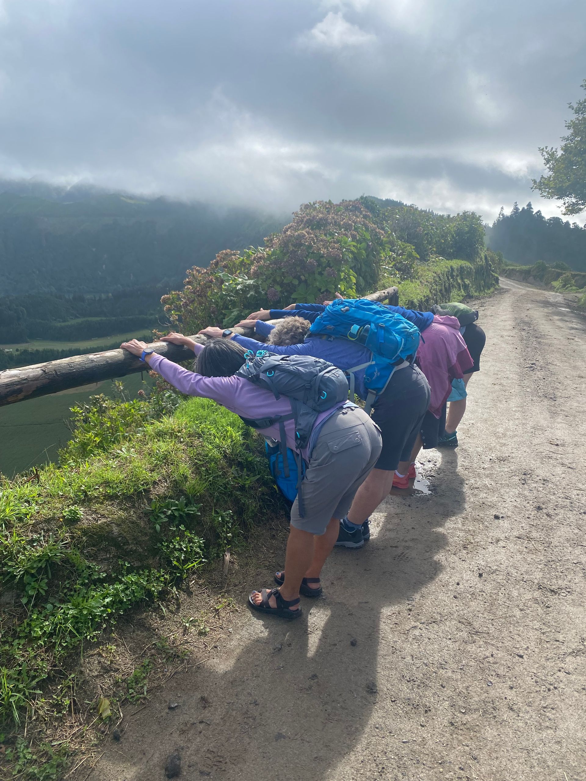 A group of people lean over a railing, looking out at a valley, on a dirt path. Overcast sky.