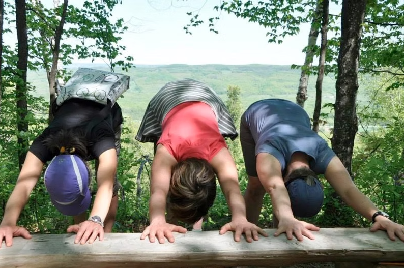 Three people doing downward-facing dog yoga pose on a wooden ledge, with a scenic forest backdrop.