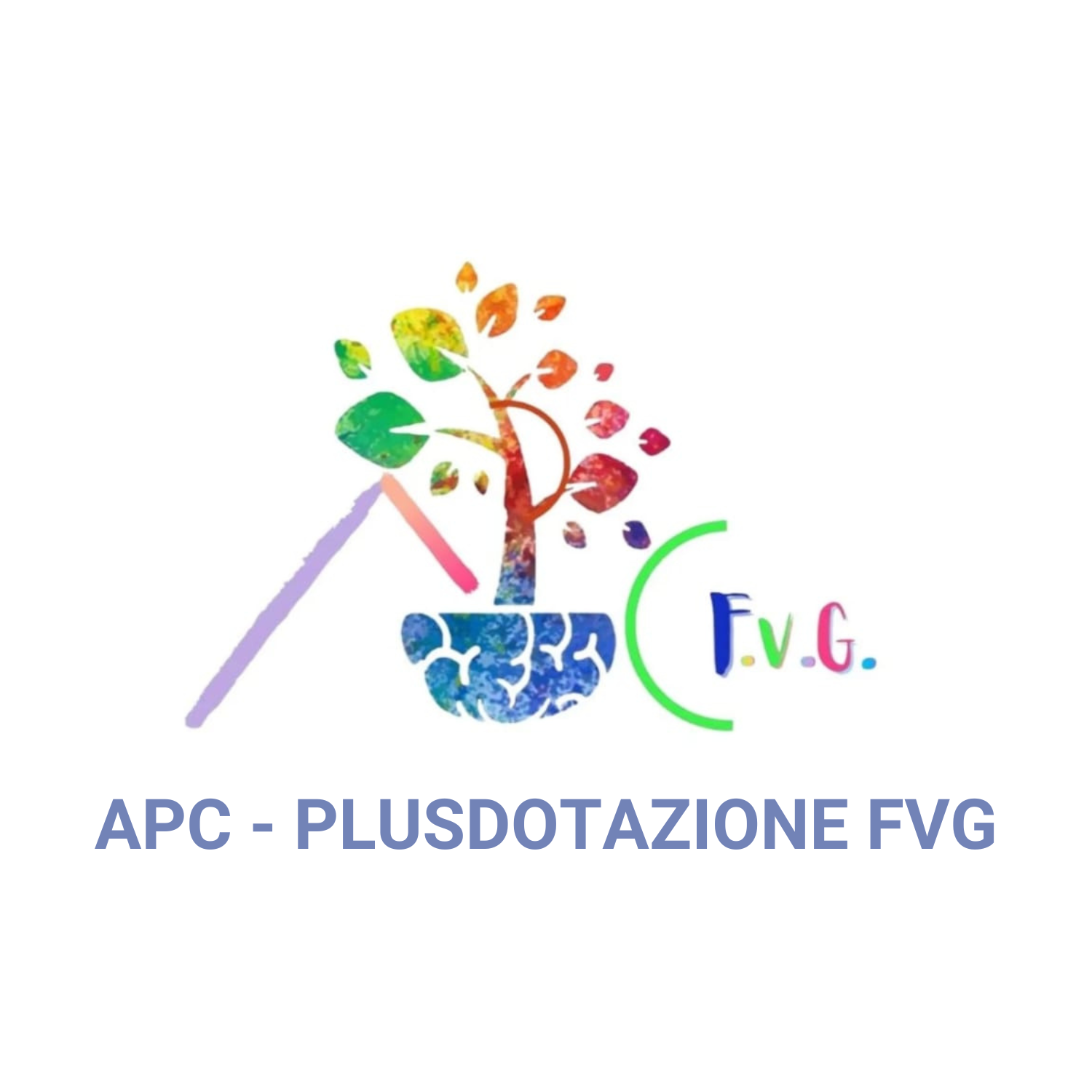 Associazione APC - PLUSDOTAZIONE FVG