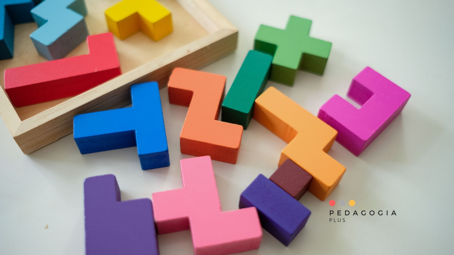 teris di legn, di tanti colori su un piano bianco