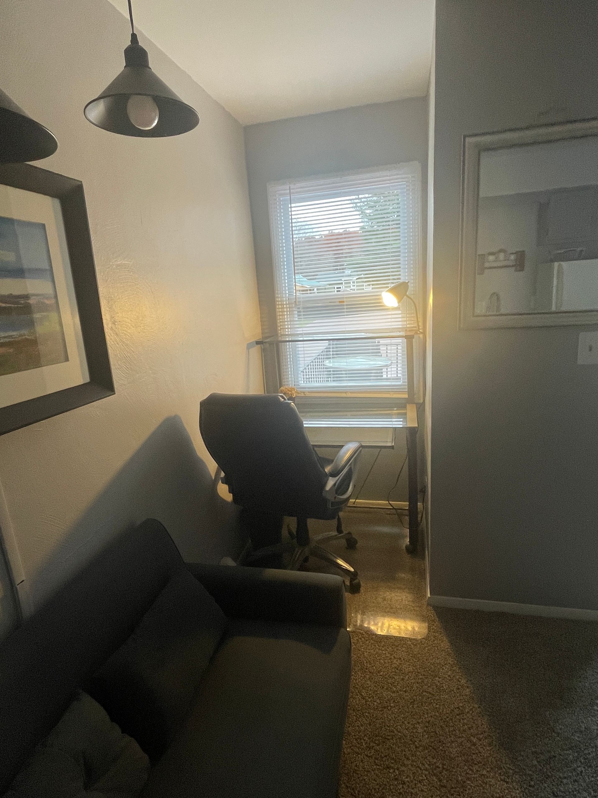 Ohio all utilities Included. desk, dedicated workspace,  full-sized bed. 1 BEDROOM FULLY FURNISHED apartment for rent in Boardman, Youngstown, furnished Finder rentals for nurses and doctors