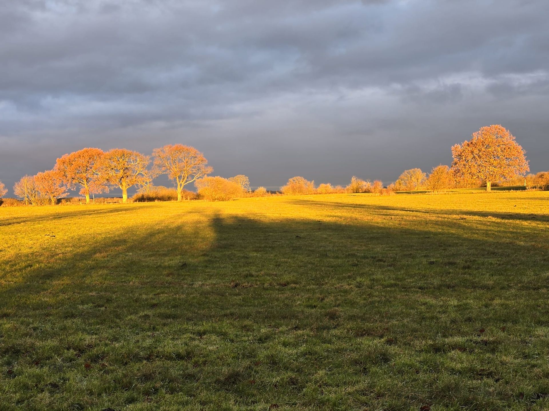 Stunning Office Views to cheer the heart