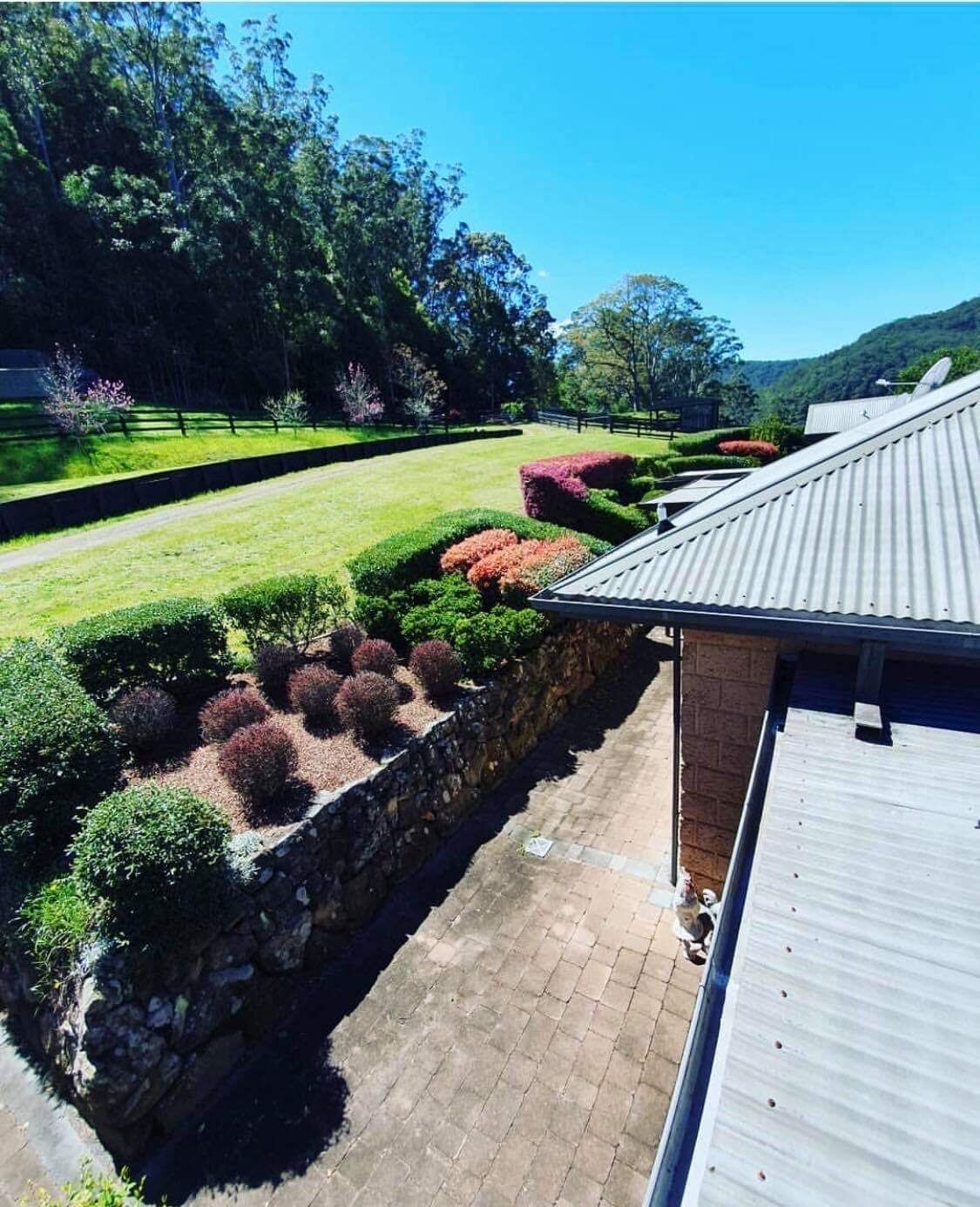 Immaculate Manicured Gardens in the Backyard — Landscaping inspiration in Matcham, Central Coast