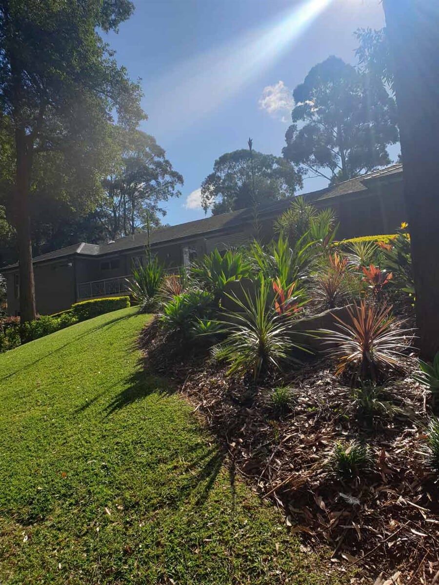 Garden with Blue Sky — Landscaping inspiration in Matcham, Central Coast (2)