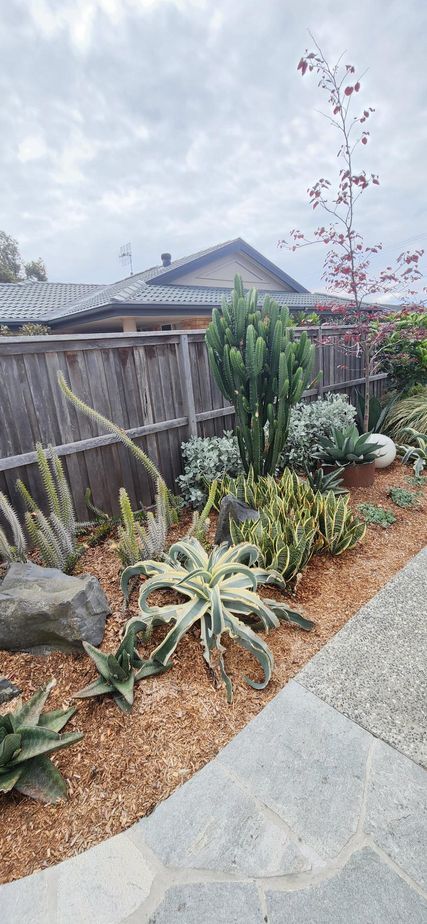Cactus Plants And Mulch Garden Bed — Landscaping inspiration in Matcham, Central Coast