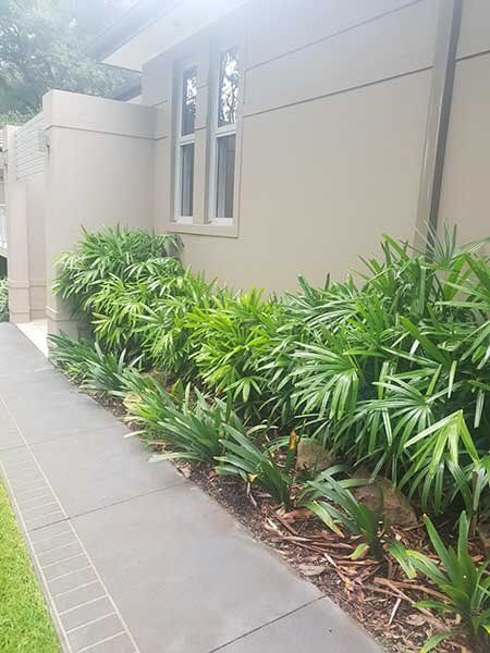 Pavement — Landscaping inspiration in Matcham, Central Coast