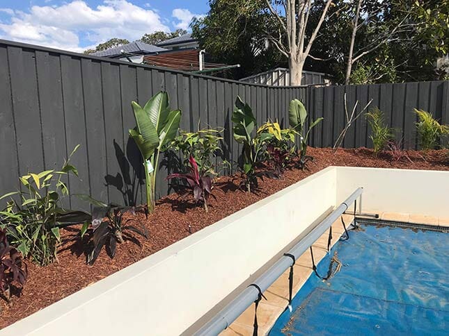 Pool and Gardens — Landscaping inspiration in Matcham, Central Coast
