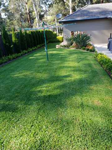 Green Lawn — Landscaping inspiration in Matcham, Central Coast
