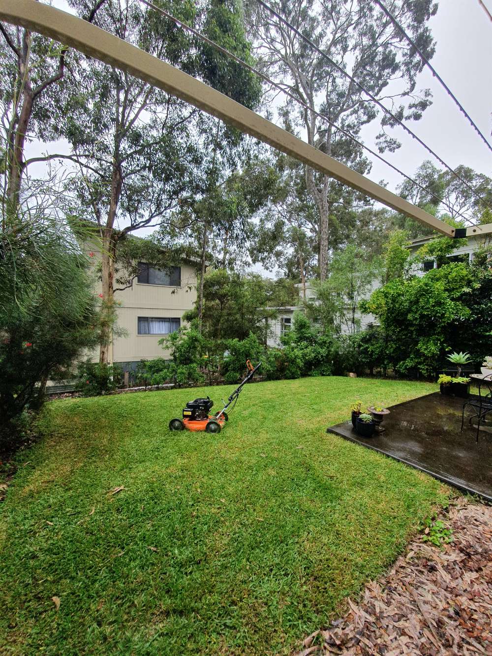 Freshly Mowed Lawn  — Landscaping inspiration in Matcham, Central Coast