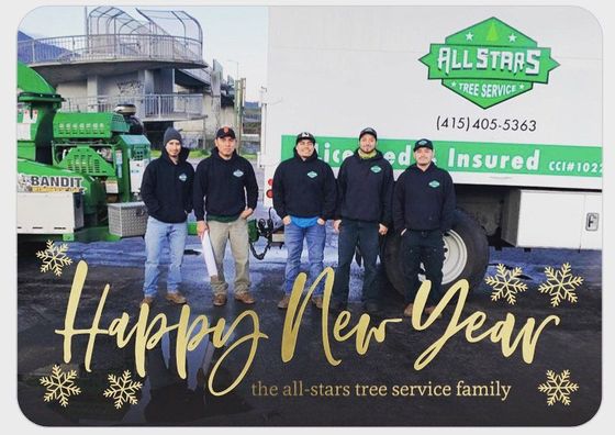 The words “Happy New Year” in a festive overlay on the All Star Tree Service smiling team.