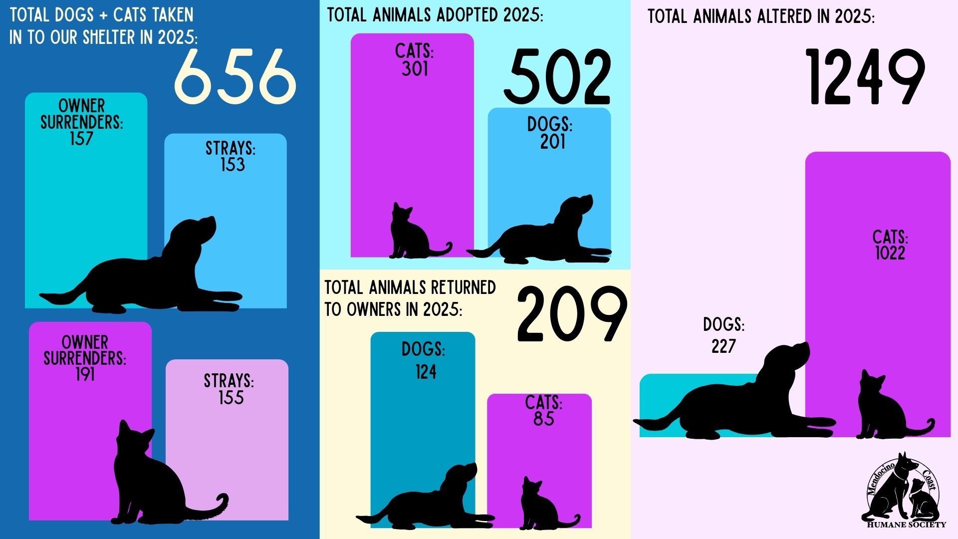 Infographic showing animal statistics. Colors: blue, pink, and teal. Data includes total animals in shelter, adopted, and returned.