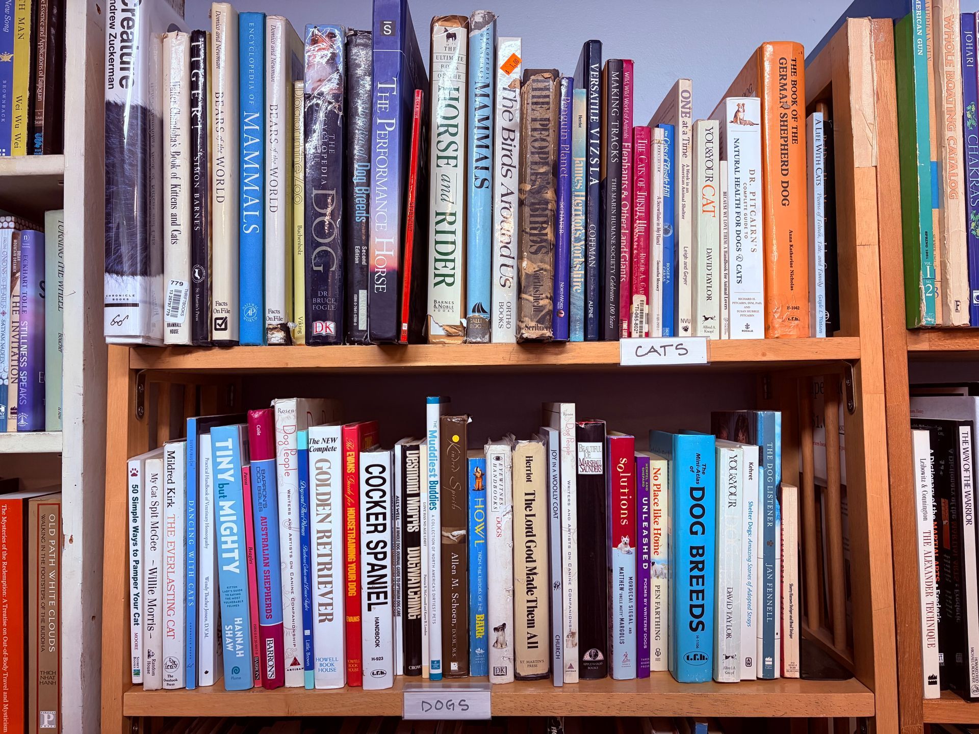 Bookshelves filled with various books of different sizes and colors.