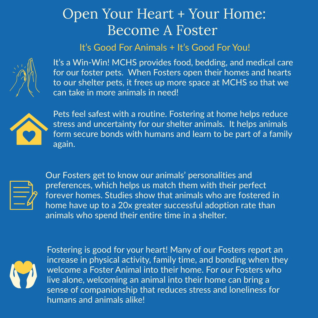 Blue graphic promoting animal fostering with text, icons, and information about the benefits for animals and fosters.