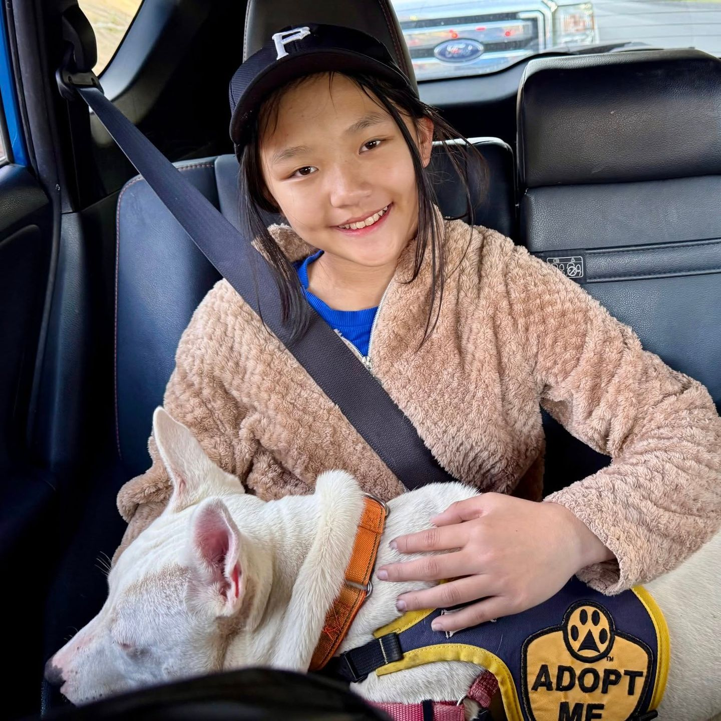 A girl and dog in a car. The dog wears a 