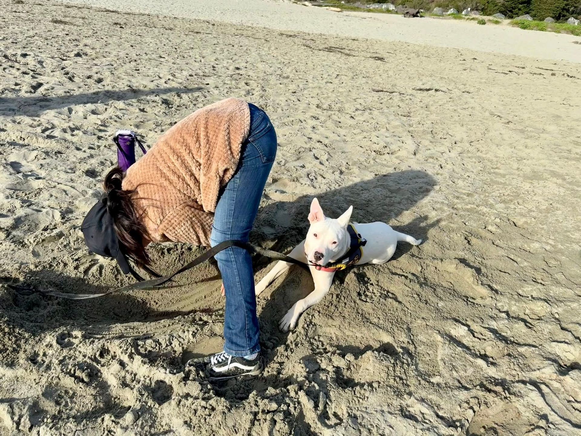 Person bent over on beach, dog on leash lying in sand.